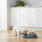 Pet Bowls Automatic Water Dispenser Feeder Cat / Dog Food Water Bowl Non-Slip Pet Feeding Supplies