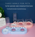 Pet SuppliesElevated Bowls for Cats and Dogs Durable Double Bowl Feeders Elevated, Feeding and Drinking Supplies
